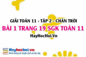 Bài 1 trang 19 Toán 11 tập 2 Chân trời sáng tạo